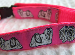 photo of Maltese Hot Pink Woven Collar