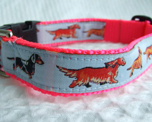 photo of Woven Collar - Miniature Dachshund - Blue on Pink