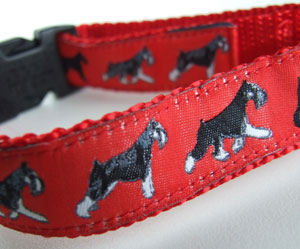 photo of Miniature Schnauzer Red Woven Collar