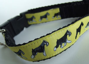 photo of Miniature Schnauzer Yellow on Black Woven Collar