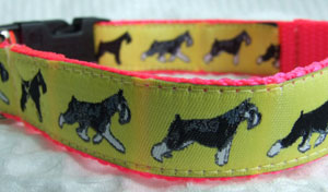 photo of Miniature Schnauzer Yellow on Pink Woven Collar