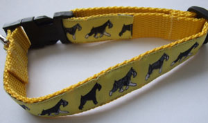 photo of Miniature Schnauzer Yellow Woven Collar