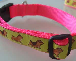 photo of Norwich Terrier Yellow on Pink Woven Collar