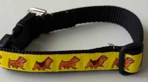 photo of Norwich Terrier Yellow on Black Woven Collar