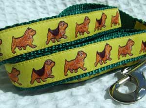 photo of Norwich Terrier Yellow on Green Woven Collar