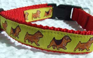 photo of Norwich Terrier Yellow on Red Woven Collar