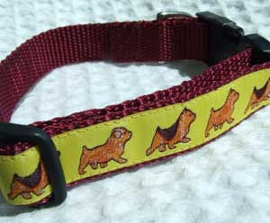 photo of Norwich Terrier Yellow on Vine Red Woven Collar