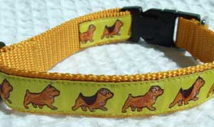 photo of Norwich Terrier Yellow Woven Collar