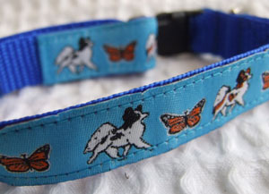 photo of Papillon & Butterfly Blue Woven Collar