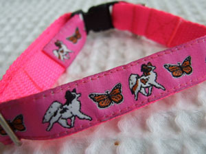 photo of Papillon & Butterfly Pink Woven Collar