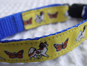 photo of Papillon & Butterfly Yellow on Blue Woven Collar