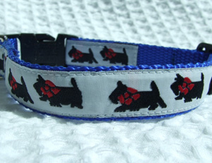 photo of Scottish Terrier Collar - White on Blue Woven