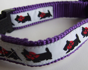 photo of Scottish Terrier Collar - White on Purple Woven