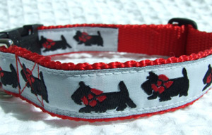 photo of Scottish Terrier Collar - White on Red Woven