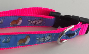 photo of Sheltie Blue on Pink Woven Collar