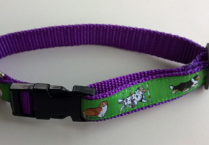 photo of Sheltie Green on Purple Woven Collar