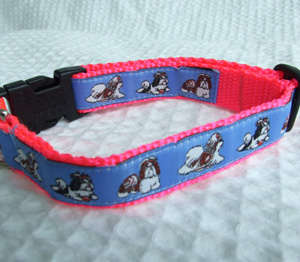 photo of Shih Tzu Blue on Pink Collar