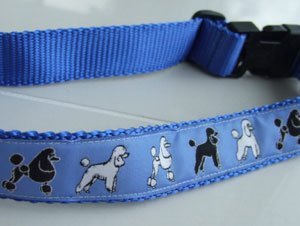 photo of Woven Collar - Standard Poodle - Blue