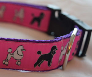 photo of Woven Collar - Standard Poodle - Pink on Purple