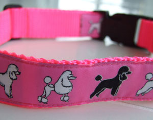 photo of Woven Collar - Standard Poodle - Shocking Pink