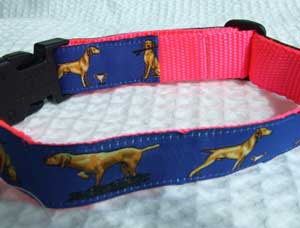 photo of Hungarian Vizsla Blue on Pink Collar