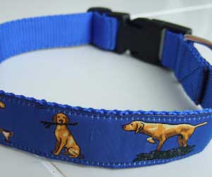 photo of Hungarian Vizsla on Blue/Pink Collar