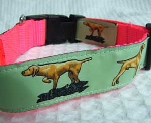 photo of Hungarian Vizsla Green on Pink Collar