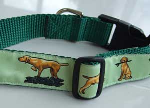 photo of Hungarian Vizsla Green Collar