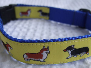 photo of Woven Collar - Welsh Corgi Yellow on Blue