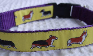 photo of Woven Collar - Welsh Corgi Yellow on Purple