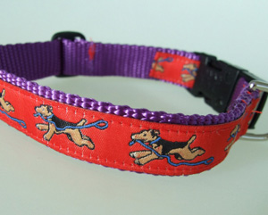 photo of Welsh Terrier Red on Purple Woven Collar
