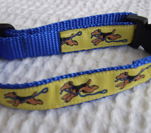 photo of Welsh Terrier Yellow on Blue Woven Collar
