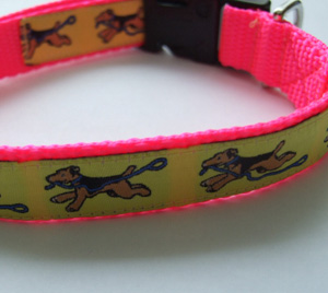 photo of Welsh Terrier Yellow on Pink Woven Collar