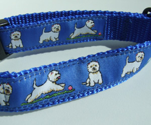 photo of Westie Blue Woven Collar