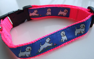 photo of Westie Blue on Pink Woven Collar